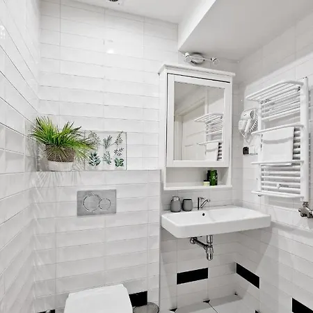 Apartament Granitica Amber Odkryj זקופאנה